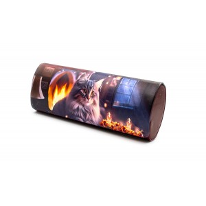 Футляр для очков авлюминиевый BF-25700-2