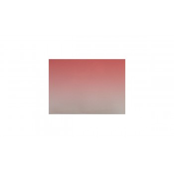 Линза полимерная polaroid MS-10 1,1х2,5 Ø80