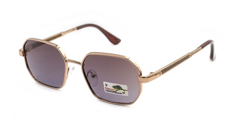 Очки фотохромные Polar Eagle 06247-C2