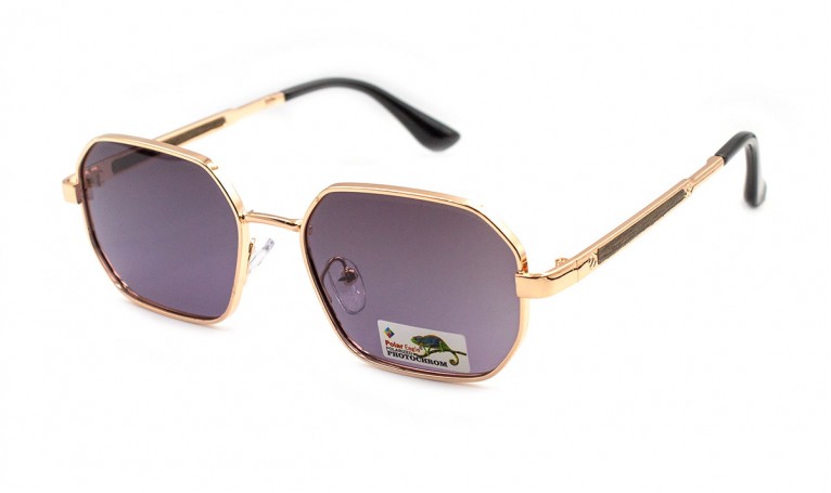 Очки фотохромные Polar Eagle 06247-C4