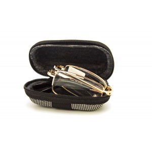 Очки V666-J01 (складные) в футляре