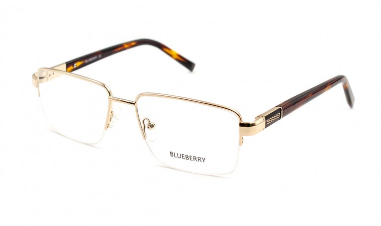 Оправа металлическая Blueberry 6472-C4