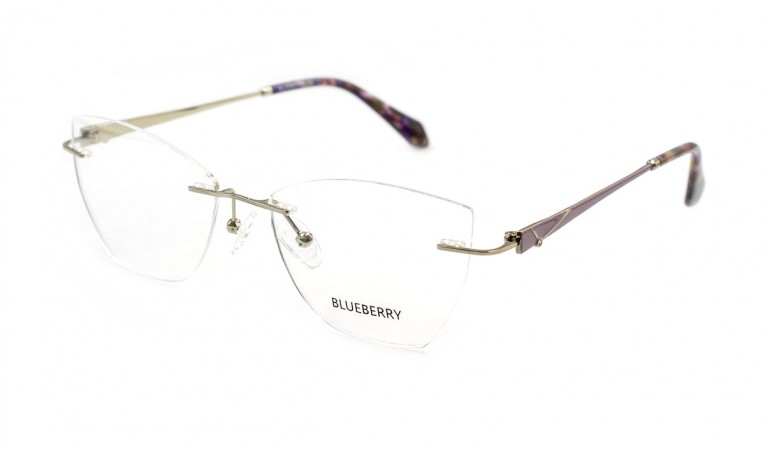 Оправа металлическая Blueberry 6497-C2