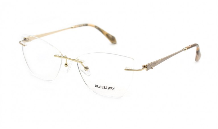 Оправа металлическая Blueberry 6497-C3