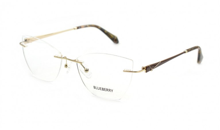 Оправа металлическая Blueberry 6497-C4
