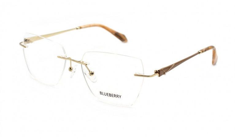 Оправа металлическая Blueberry 6498-C2