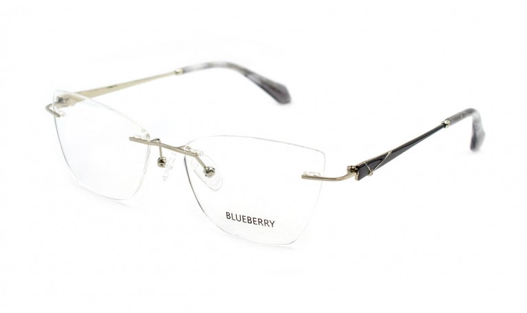 Оправа металлическая Blueberry 6499-C1