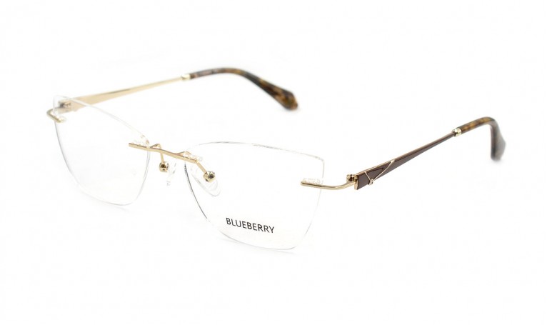 Оправа металлическая Blueberry 6499-C2