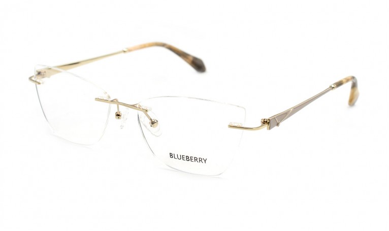 Оправа металлическая Blueberry 6499-C3