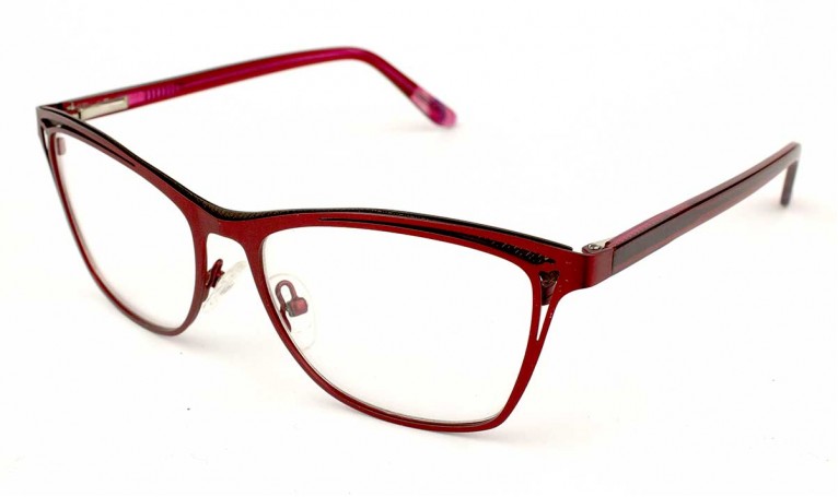 Оправа металлическая Stainless steel 17013A22-C4