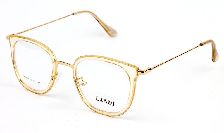 Оправа пластиковая Landi TR7069-C109